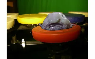 The Blob fish sings The Blob fish sings