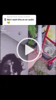 Reply to @mizuki_makes ? #frogtiktok #frogtok? #audiooriginal #fypã‚· Reply to @mizuki_makes ? #frogtiktok #frogtok? #audiooriginal #fypã‚·