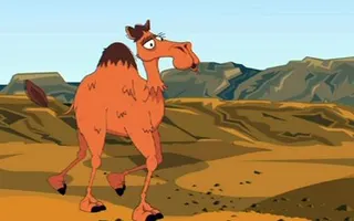 BBC - Learning Zone Class Clips - How are camels adapted to live in the desert? - Science Video