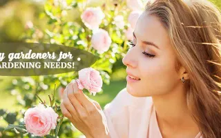 Garden Landscaping Companies London Landscaping London Landscapers Garden Landscaping Companies London Landscaping London Landscapers