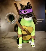 Cat Cosplay of the Feline variety. Cat Cosplay of the Feline variety.