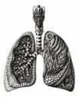 Lungs of Ink Lungs of Ink