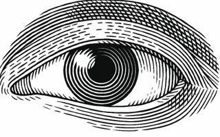 Only People With Perfect Vision Can See These Images Only People With Perfect Vision Can See These Images