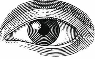 Only People With Perfect Vision Can See These Images Only People With Perfect Vision Can See These Images