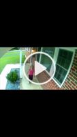 Thinking about the time this random little girl stole my cat off the porch and I thought she killed it #fyp #foryoupage #wakingupinthemorning Thinking about the time this random little girl stole my cat off the porch and I thought she killed it #fyp #foryoupage #wakingupinthemorning