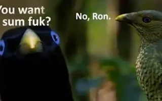 Lemme Smash (Original)