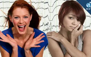 Introverts and Extroverts Have Different Brains Introverts and Extroverts Have Different Brains