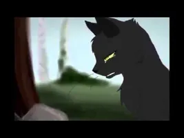 Sad Song - Warrior Cats