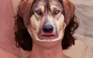 [YTP] Gotye Knows Somebody That He Used