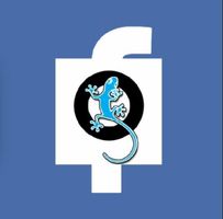 Qfeast or Facebook? Qfeast or Facebook?