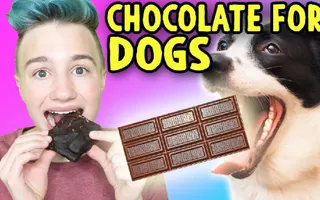 DIY CHOCOLATE BAR FOR DOGS ! And People, I Guess DIY CHOCOLATE BAR FOR DOGS ! And People, I Guess