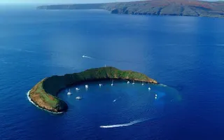 Petition · Prevent the Bombing of Molokini, July 2020 · Change.org Petition · Prevent the Bombing of Molokini, July 2020 · Change.org