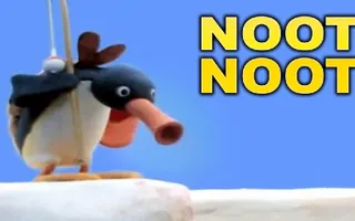Pingu: NOOT NOOT (Funny Vine Compilation) Pingu: NOOT NOOT (Funny Vine Compilation)