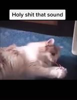 Holy shit that sound - iFunny :) Holy shit that sound - iFunny :)