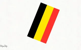 Flag Transformation Flag Transformation