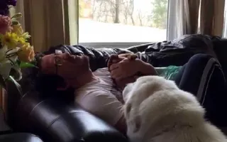 Puppies are the Best Medicine