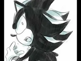 Shadow The Hedgehog The Reunion Shadow The Hedgehog The Reunion
