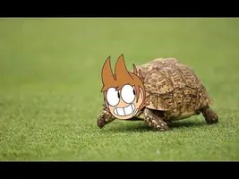 Meet Tord (Eddsworld Shitpost)