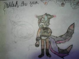 Shara_The_Hedgefox55's Photo Shara_The_Hedgefox55's Photo