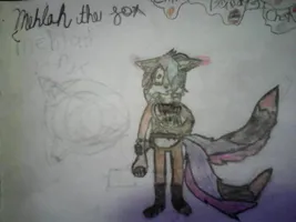 Shara_The_Hedgefox55's Photo Shara_The_Hedgefox55's Photo