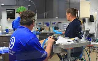 Web Cam Angle 3 | Clearwater Marine Aquarium Web Cam Angle 3 | Clearwater Marine Aquarium