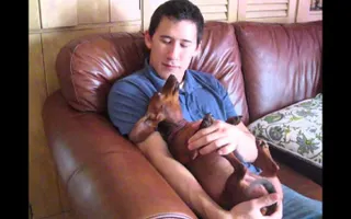 Markiplier Sings with a Puppy