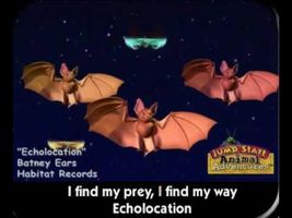 JumpStart Bat Echolocation Song JumpStart Bat Echolocation Song