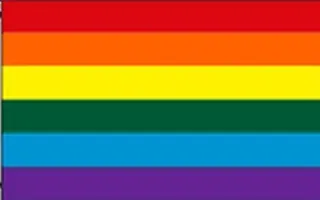 RAINBOW 4X6' FLAG 48"X72" BIG NEW GAY PRIDE HUGE - Foreign RAINBOW 4X6' FLAG 48"X72" BIG NEW GAY PRIDE HUGE - Foreign