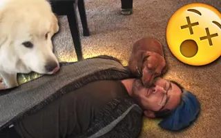 Playing Dead with PUPPIES!! Playing Dead with PUPPIES!!