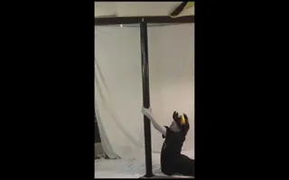 "Moves Like Homestuck" IN REAL LIFE!!! "Moves Like Homestuck" IN REAL LIFE!!!