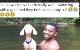 26 Pictures From 2016 That Will Make You Way Happier Than They Should 26 Pictures From 2016 That Will Make You Way Happier Than They Should