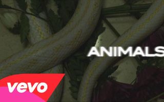Maroon 5 - Animals (Lyric Video) Maroon 5 - Animals (Lyric Video)