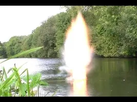 Sodium metal and water (also sodium hydroxide and chicken)