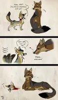 Kit Fox Tragedy by Culpeo-Fox on DeviantArt Kit Fox Tragedy by Culpeo-Fox on DeviantArt