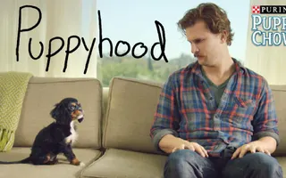 Puppyhood - YouTube Puppyhood - YouTube