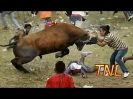 BEST FAILS OF 2014 Compilation || TNL BEST FAILS OF 2014 Compilation || TNL