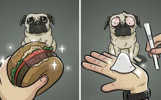 How Dogs See The World In 7 Funny Illustrations | Top 25s | How Dogs See The World In 7 Funny Illustrations | Top 25s |