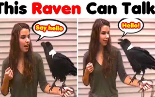 Unbelievable Things Animals Are Able To Do