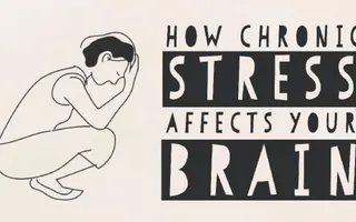 How stress affects your brain - Madhumita Murgia