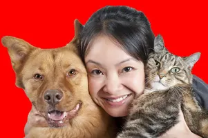 What % Cat Person And What % Dog Person Are You What % Cat Person And What % Dog Person Are You