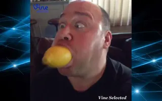 Will Sasso Vine Compilation (ALL VINES) # HD QUALITY ✔✔✔ Will Sasso Vine Compilation (ALL VINES) # HD QUALITY ✔✔✔