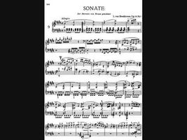 Beethoven Sonata No. 9 In E Major, Op. 14 No. 1 1st Movement Beethoven Sonata No. 9 In E Major, Op. 14 No. 1 1st Movement