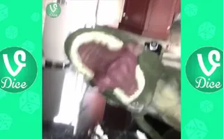 PurpleCrumbs Vine Compilation ★ ALL VINES HD ★ Vine Dice PurpleCrumbs Vine Compilation ★ ALL VINES HD ★ Vine Dice