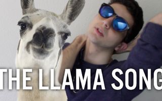 THE LLAMA SONG THE LLAMA SONG