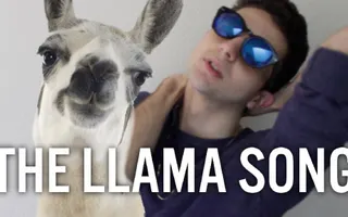 THE LLAMA SONG THE LLAMA SONG