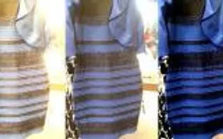 The Science of Why No One Agrees on the Color of This Dress | WIRED The Science of Why No One Agrees on the Color of This Dress | WIRED