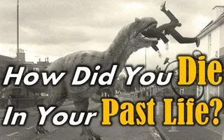 How Did You Die in Your Past Life? How Did You Die in Your Past Life?