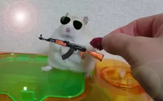 HAMSTER GETS VIETNAM FLASHBACK HAMSTER GETS VIETNAM FLASHBACK