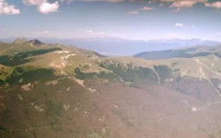 Dead Forests Release Less Carbon Into Atmosphere Than Expected | UANews