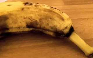 Spider bursts out of a Banana Spider bursts out of a Banana